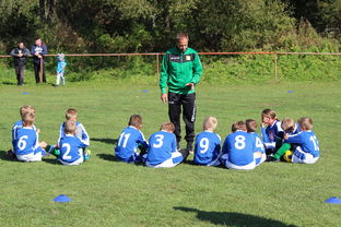 xingkong体育-中国篮球教练员技术战术创新能力提升路径，篮球教练发展