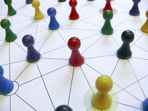 星空体育app下载-中国篮球教练员领导力培养路径，中国篮球协会篮球教练员等级